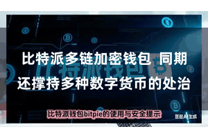 比特派多链加密钱包 同期还撑持多种数字货币的处治