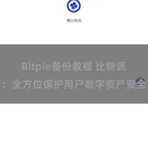 Bitpie备份教程 比特派：全方位保护用户数字资产安全