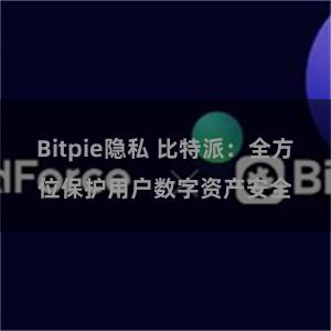 Bitpie隐私 比特派：全方位保护用户数字资产安全