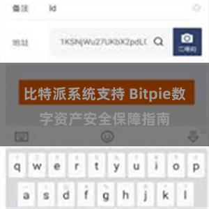 比特派系统支持 Bitpie数字资产安全保障指南