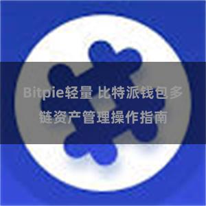 Bitpie轻量 比特派钱包多链资产管理操作指南