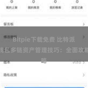 Bitpie下载免费 比特派钱包多链资产管理技巧：全面攻略