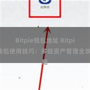 Bitpie钱包地址 Bitpie钱包使用技巧：多链资产管理全攻略