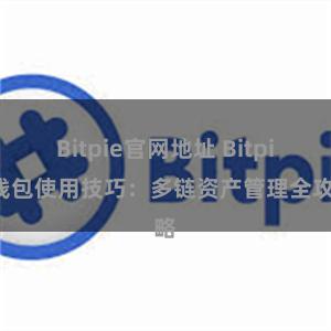 Bitpie官网地址 Bitpie钱包使用技巧：多链资产管理全攻略