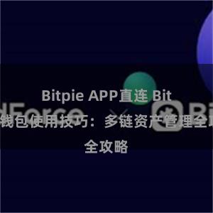 Bitpie APP直连 Bitpie钱包使用技巧：多链资产管理全攻略