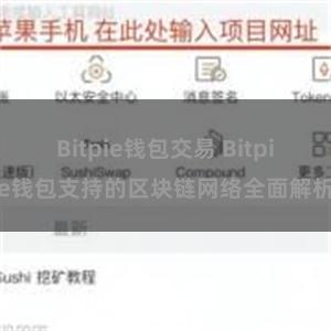 Bitpie钱包交易 Bitpie钱包支持的区块链网络全面解析