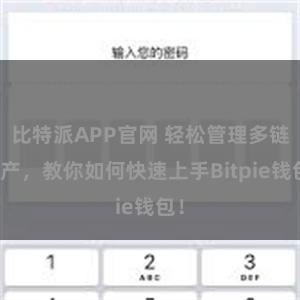 比特派APP官网 轻松管理多链资产，教你如何快速上手Bitpie钱包！