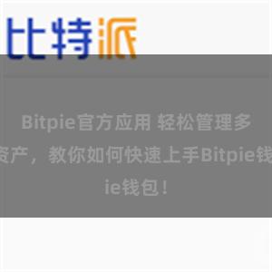 Bitpie官方应用 轻松管理多链资产，教你如何快速上手Bitpie钱包！