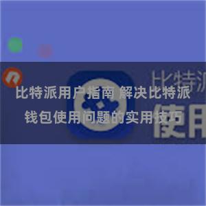 比特派用户指南 解决比特派钱包使用问题的实用技巧