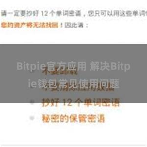 Bitpie官方应用 解决Bitpie钱包常见使用问题