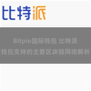 Bitpie国际钱包 比特派钱包支持的主要区块链网络解析