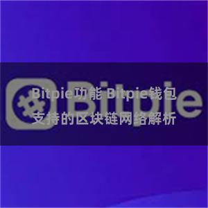 Bitpie功能 Bitpie钱包支持的区块链网络解析