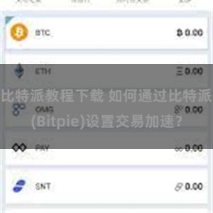 比特派教程下载 如何通过比特派(Bitpie)设置交易加速？