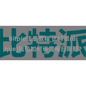 Bitpie注册教程 比特派(Bitpie)钱包如何设置每日限额？