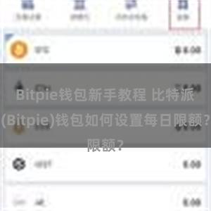 Bitpie钱包新手教程 比特派(Bitpie)钱包如何设置每日限额？