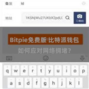 Bitpie免费版 比特派钱包如何应对网络拥堵？