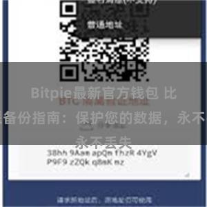Bitpie最新官方钱包 比特派备份指南：保护您的数据，永不丢失