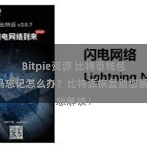 Bitpie资源 比特币钱包密码忘记怎么办？比特派恢复助您解锁！
