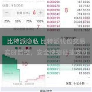 比特派隐私 比特派钱包交易实时监控，安全快捷便捷支付