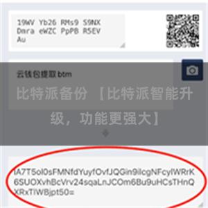 比特派备份 【比特派智能升级，功能更强大】