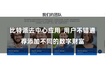 比特派去中心应用  用户不错遴荐添加不同的数字财富