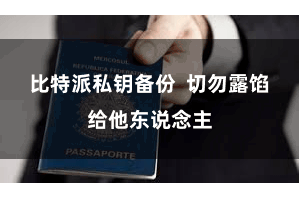 比特派私钥备份  切勿露馅给他东说念主