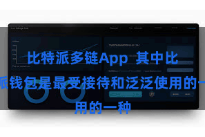 比特派多链App 其中比特派钱包是最受接待和泛泛使用的一种