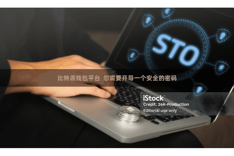 比特派钱包平台  您需要开导一个安全的密码