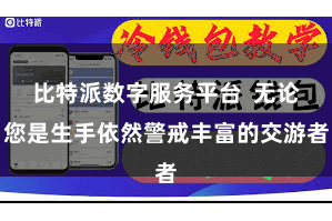 比特派数字服务平台  无论您是生手依然警戒丰富的交游者