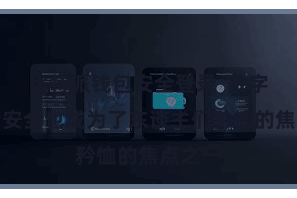 比特派钱包安全登录  数字货币的安全也成为了东谈主们矜恤的焦点之一