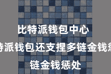 比特派钱包中心  比特派钱包还支捏多链金钱惩处