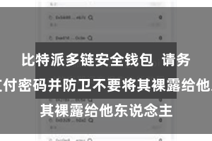 比特派多链安全钱包  请务必铭记支付密码并防卫不要将其裸露给他东说念主