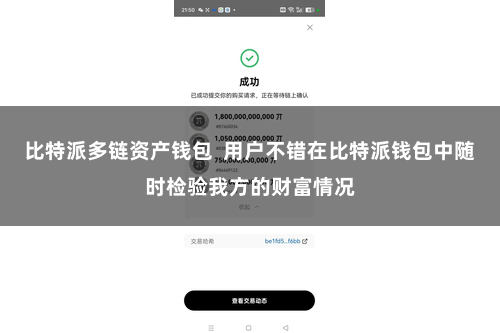 比特派多链资产钱包  用户不错在比特派钱包中随时检验我方的财富情况